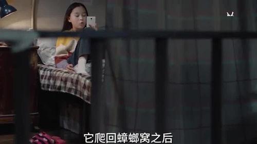 马姐姐被人爆料视频,真相与争议